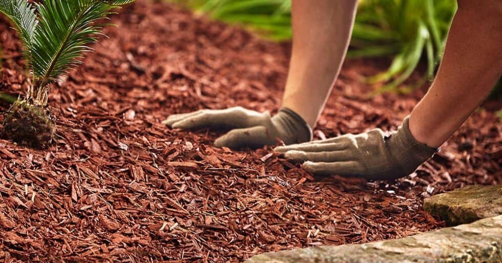 Какво представлява мулчирането?